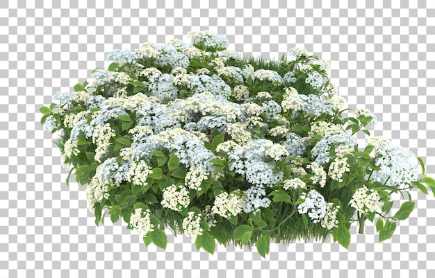 Campo de flores sobre fondo transparente. Representación 3d - ilustración