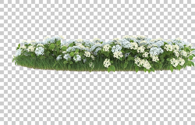 Campo de flores sobre fondo transparente. Representación 3d - ilustración