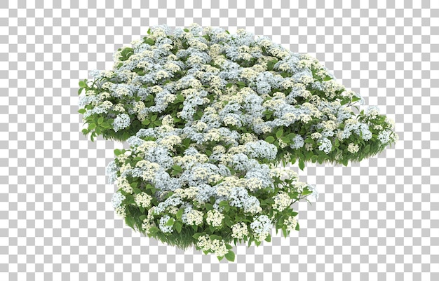 Campo de flores sobre fondo transparente. Representación 3d - ilustración