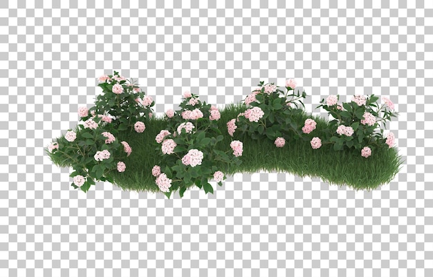 Campo de flores sobre fondo transparente. Representación 3d - ilustración