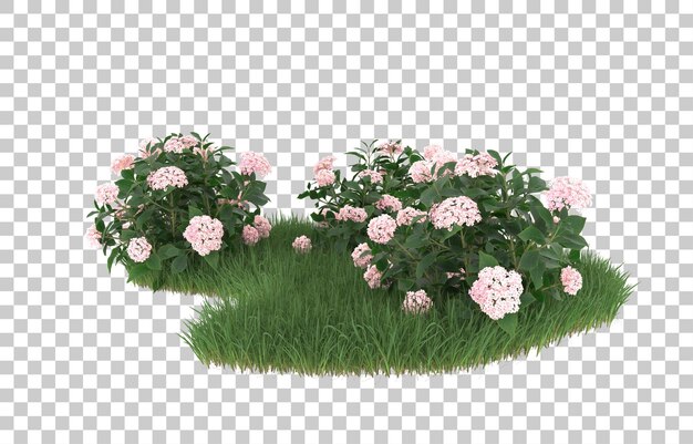 Campo de flores sobre fondo transparente. Representación 3d - ilustración
