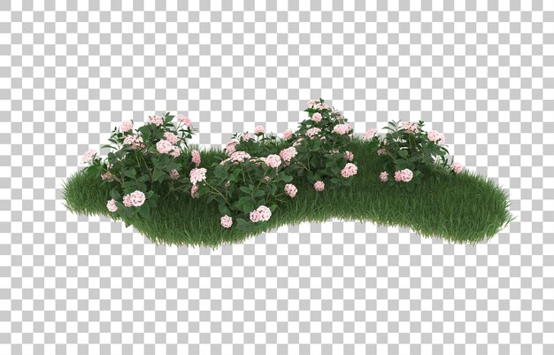 Campo de flores sobre fondo transparente. Representación 3d - ilustración