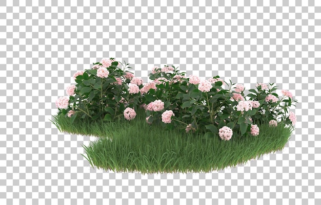 Campo de flores sobre fondo transparente. Representación 3d - ilustración
