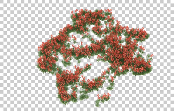 PSD campo de flores sobre fondo transparente. representación 3d - ilustración