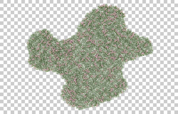 Campo de flores sobre fondo transparente. Representación 3d - ilustración