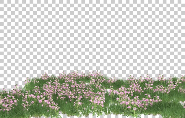 Campo de flores sobre fondo transparente. Representación 3d - ilustración
