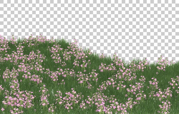 Campo de flores sobre fondo transparente. Representación 3d - ilustración