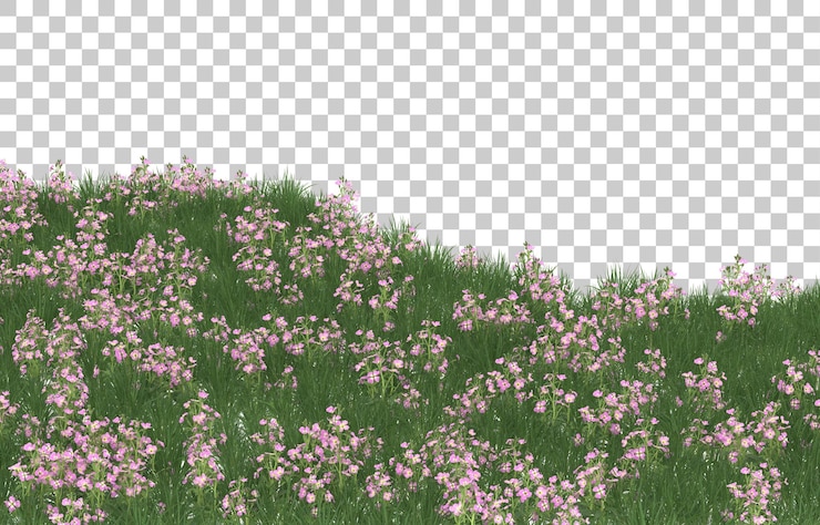 PSD campo de flores sobre fondo transparente. representación 3d - ilustración