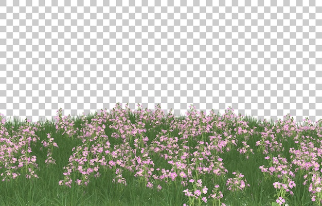 PSD campo de flores sobre fondo transparente. representación 3d - ilustración