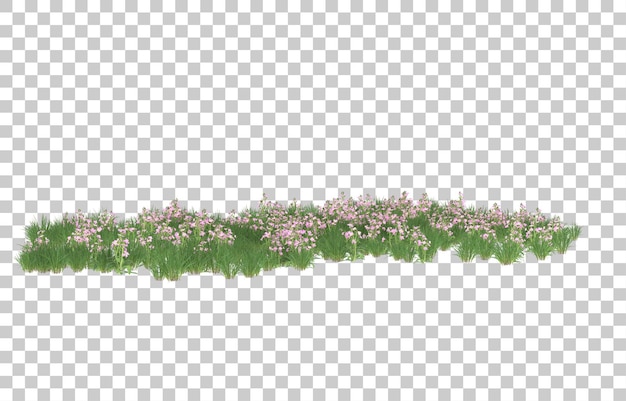 Campo de flores sobre fondo transparente. Representación 3d - ilustración