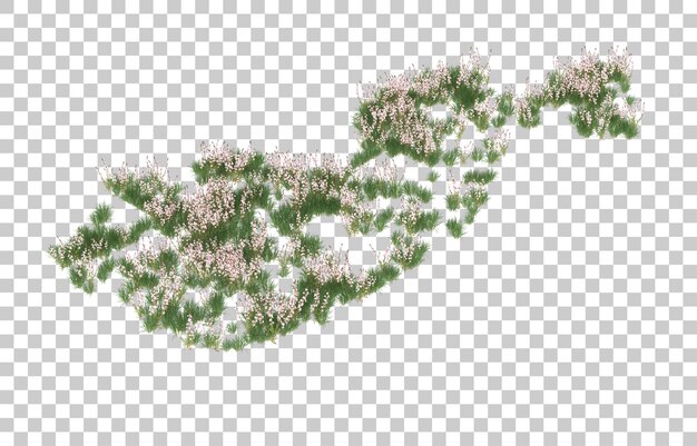 Campo de flores sobre fondo transparente. Representación 3d - ilustración