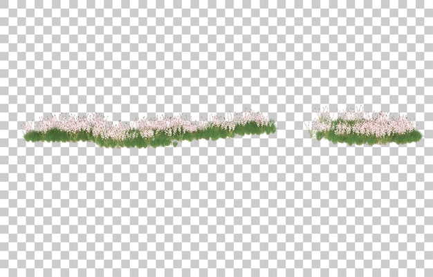 Campo de flores sobre fondo transparente. Representación 3d - ilustración