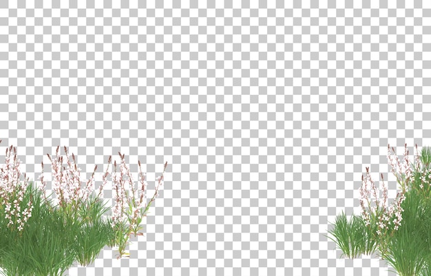 Campo de flores sobre fondo transparente. Representación 3d - ilustración