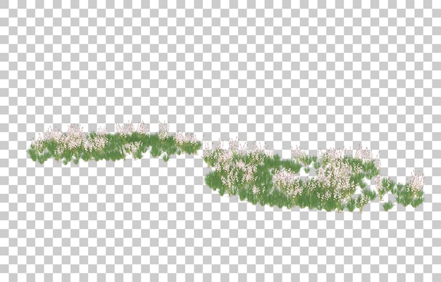 Campo de flores sobre fondo transparente. Representación 3d - ilustración
