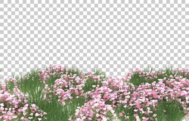 Campo de flores sobre fondo transparente. Representación 3d - ilustración