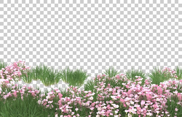 Campo de flores sobre fondo transparente. Representación 3d - ilustración