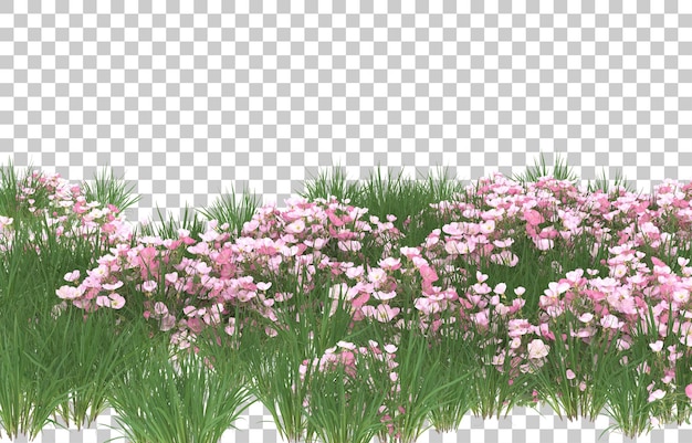 Campo de flores sobre fondo transparente. Representación 3d - ilustración