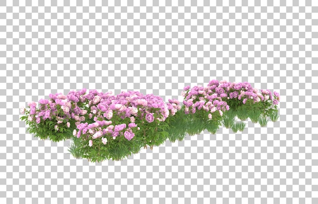 Campo de flores sobre fondo transparente. Representación 3d - ilustración