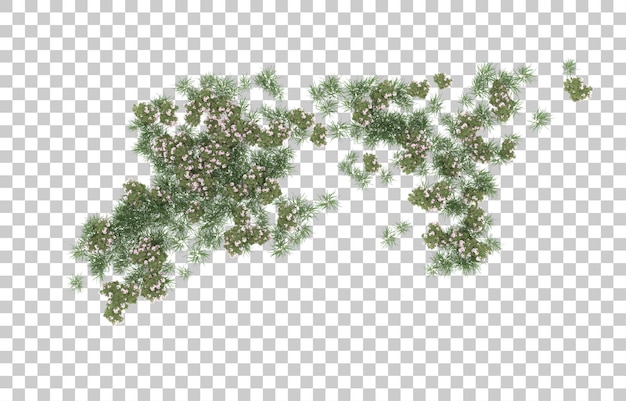 Campo de flores sobre fondo transparente. Representación 3d - ilustración