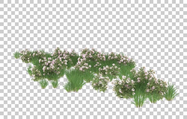 Campo de flores sobre fondo transparente. Representación 3d - ilustración