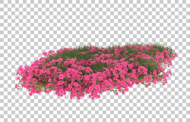 Campo de flores sobre fondo transparente. Representación 3d - ilustración
