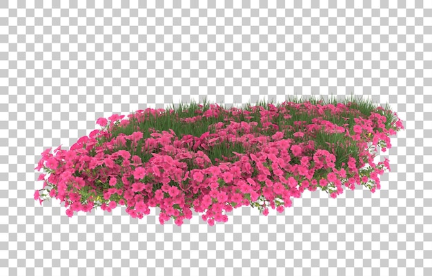 PSD campo de flores sobre fondo transparente. representación 3d - ilustración