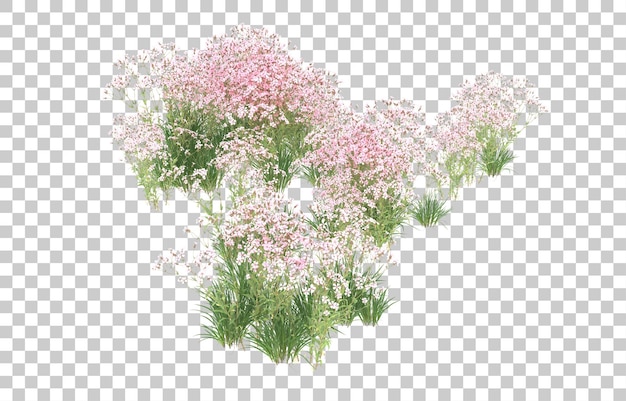 Campo de flores sobre fondo transparente. Representación 3d - ilustración