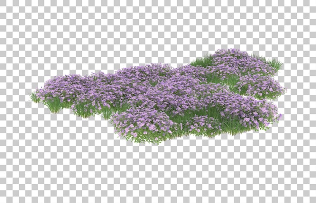 Campo de flores sobre fondo transparente. Representación 3d - ilustración