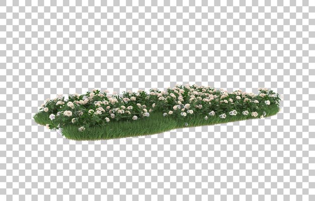 Campo de flores sobre fondo transparente. Representación 3d - ilustración