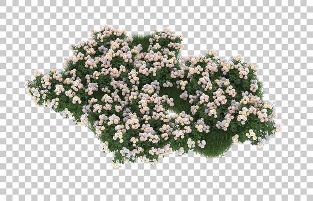 Campo de flores sobre fondo transparente. Representación 3d - ilustración