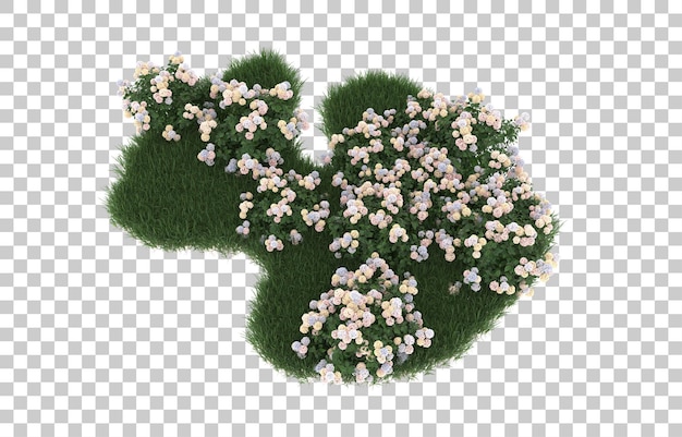 Campo de flores sobre fondo transparente. Representación 3d - ilustración
