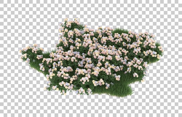 Campo de flores sobre fondo transparente. Representación 3d - ilustración