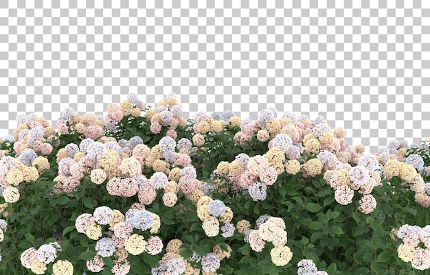 Campo de flores sobre fondo transparente. Representación 3d - ilustración