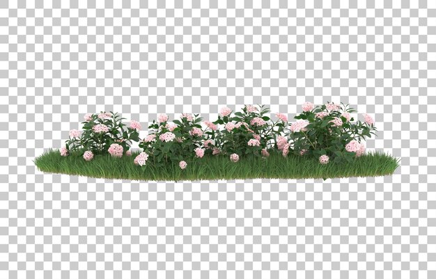 Campo de flores sobre fondo transparente. Representación 3d - ilustración