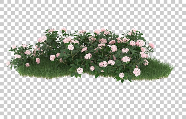 Campo de flores sobre fondo transparente. Representación 3d - ilustración