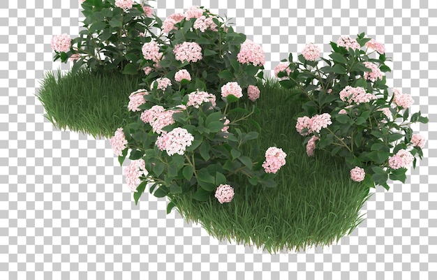 Campo de flores sobre fondo transparente. representación 3d - ilustración