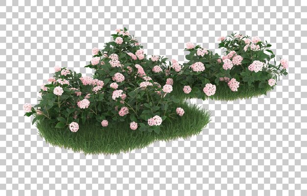 Campo de flores sobre fondo transparente. Representación 3d - ilustración