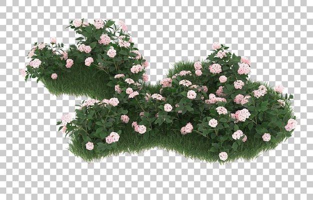 Campo de flores sobre fondo transparente. Representación 3d - ilustración