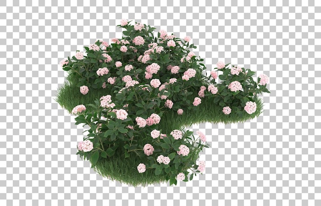 Campo de flores sobre fondo transparente. Representación 3d - ilustración