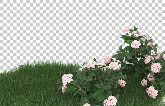 Campo de flores sobre fondo transparente. Representación 3d - ilustración