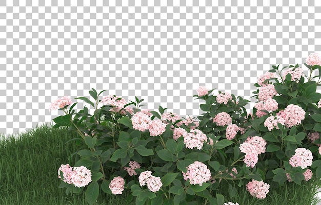 Campo de flores sobre fondo transparente. Representación 3d - ilustración