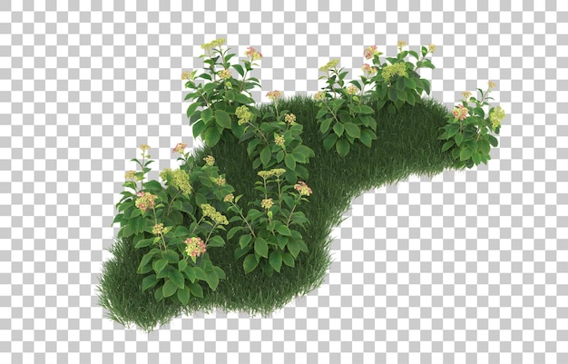 Campo de flores sobre fondo transparente. Representación 3d - ilustración