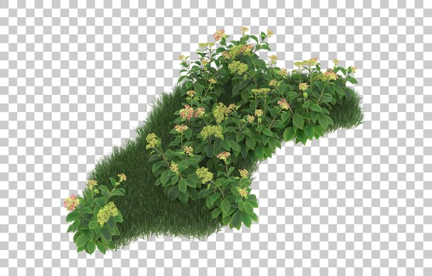Campo de flores sobre fondo transparente. Representación 3d - ilustración