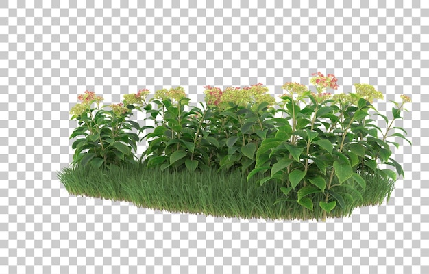 Campo de flores sobre fondo transparente. Representación 3d - ilustración