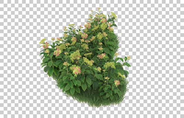 Campo de flores sobre fondo transparente. Representación 3d - ilustración