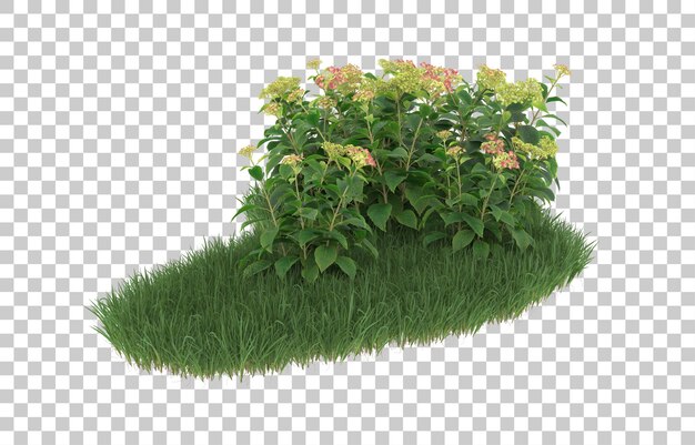 Campo de flores sobre fondo transparente. Representación 3d - ilustración