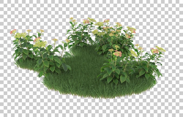 Campo de flores sobre fondo transparente. Representación 3d - ilustración