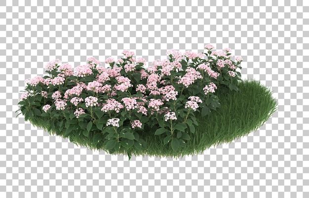 Campo de flores sobre fondo transparente. Representación 3d - ilustración