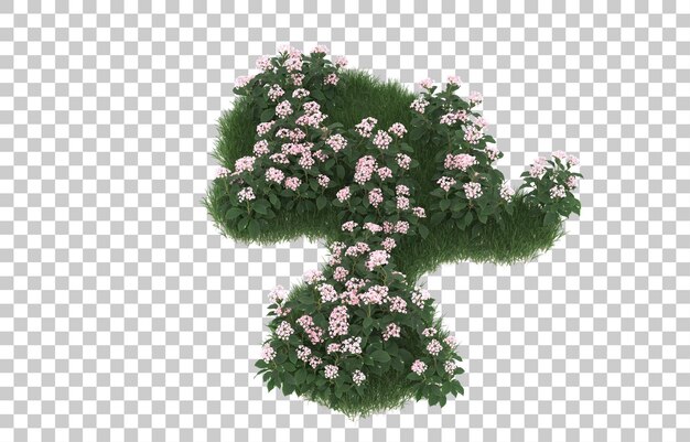 Campo de flores sobre fondo transparente. Representación 3d - ilustración