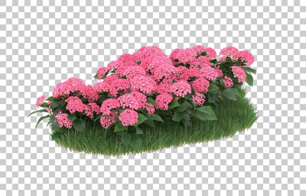 Campo de flores sobre fondo transparente. Representación 3d - ilustración